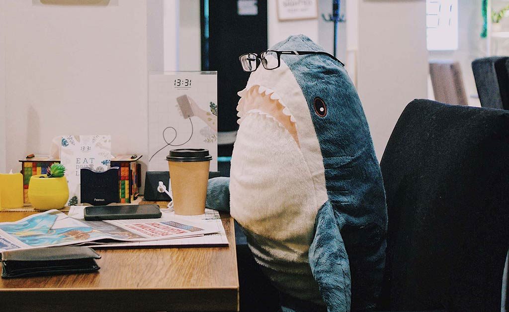 Plüschhai auf Bürostuhl
