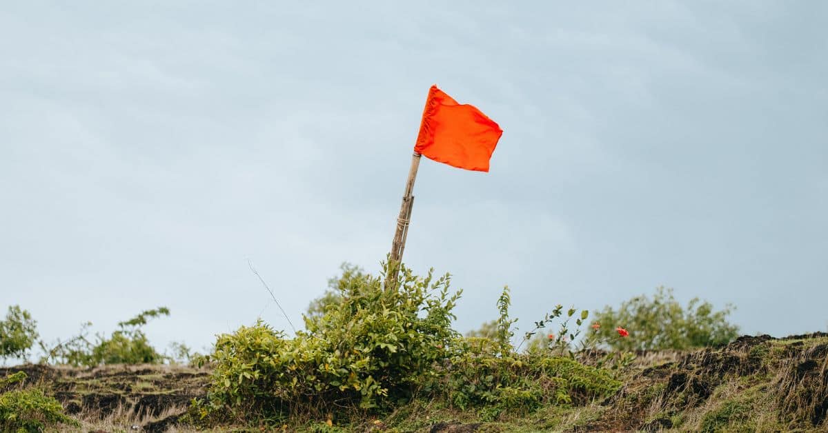 Red Flags bei Online Business Coaches
